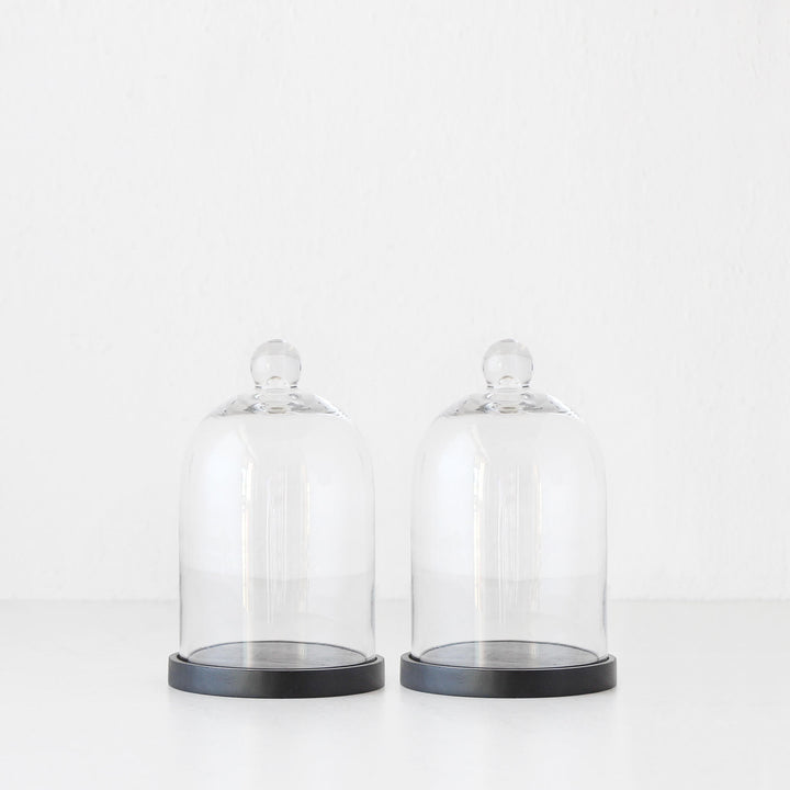 LUXE LIVING BY DESIGN GLASS CLOCHE WITH BLACK BASE BUNDLE X2 | LARGE | GLASS