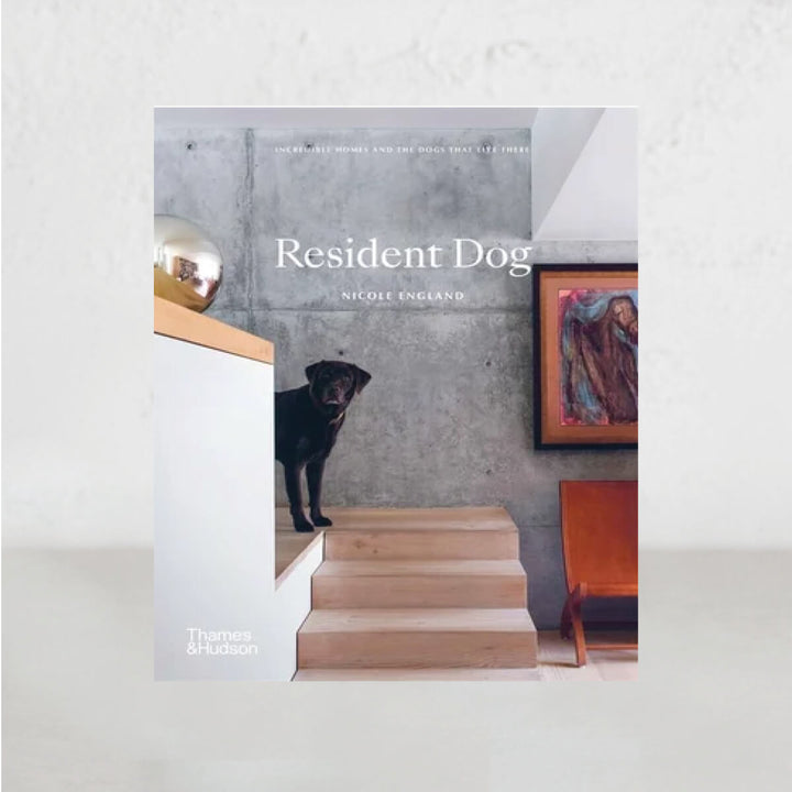RESIDENT DOG | NICOLE ENGLAND | COMPACT VERSION