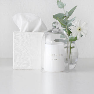 BOND CROCODILE SQUARE TISSUE BOX  |  LIME WHITE