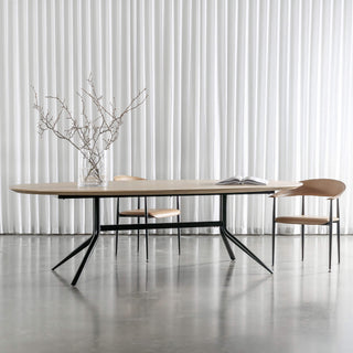 BRETON OVAL DINING TABLE  |  BIRCH ASH WOOD GRAIN  |  260CM