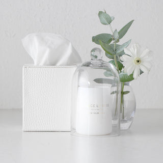 BOND CROCODILE SQUARE TISSUE BOX  |  LIME WHITE