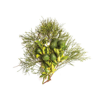 Bondi Wash Blue Cypress + Petitgrain