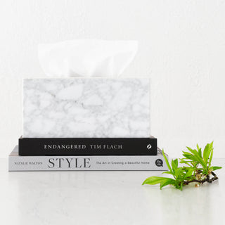 CAMERO MARBLE RECTANGLE TISSUE BOX  |  CARRARA WHITE MARBLE