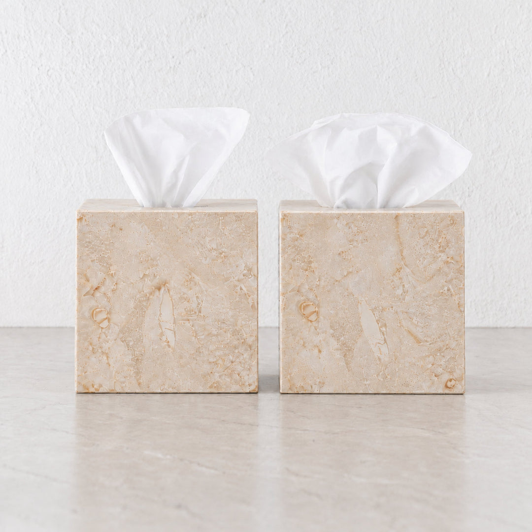 Camero_Tissue _Box_Sandy_Dune_bundle_cg
