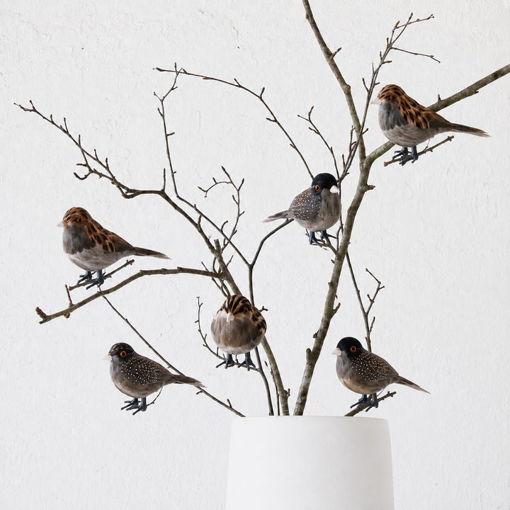 CHATILLON FEATHER CHRISTMAS BIRD SETS  |  NATURAL