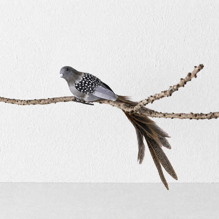 CHATILLON FEATHER CHRISTMAS BIRD CLIP  |  XL 35CM  |  CHARCOAL