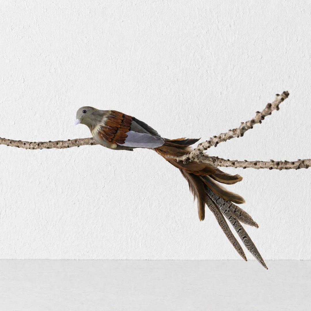 CHATILLON FEATHER CHRISTMAS BIRD CLIP  |  XL 35CM  |  CHESTNUT