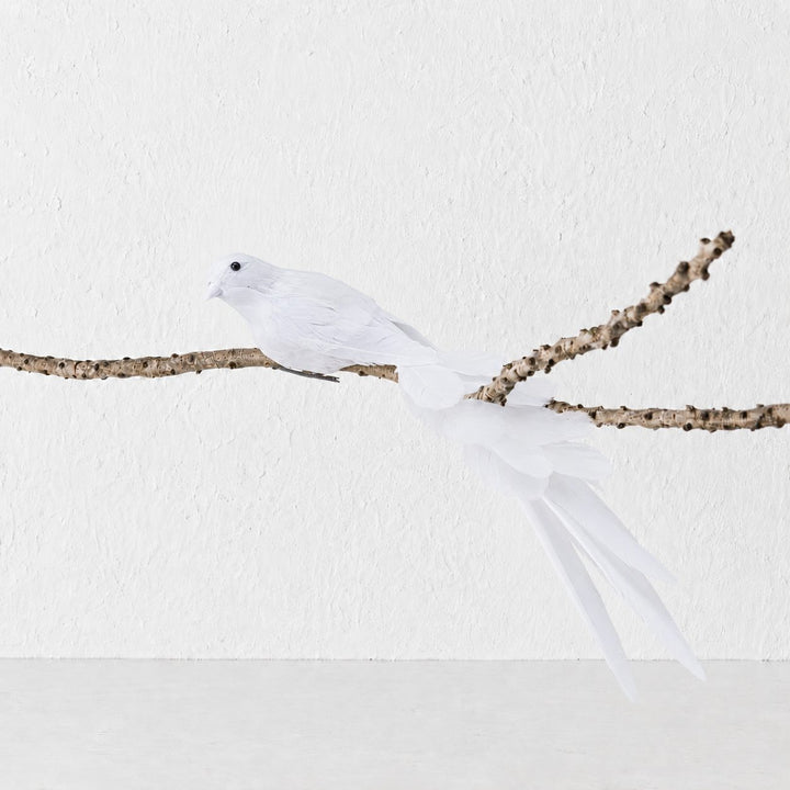 CHATILLON FEATHER CHRISTMAS BIRD CLIP  |  XL 35CM  |  WHITE