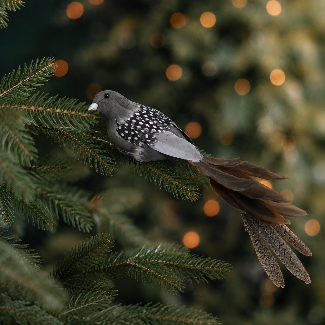 CHATILLON FEATHER CHRISTMAS BIRD CLIP  |  XL 35CM  |  CHARCOAL