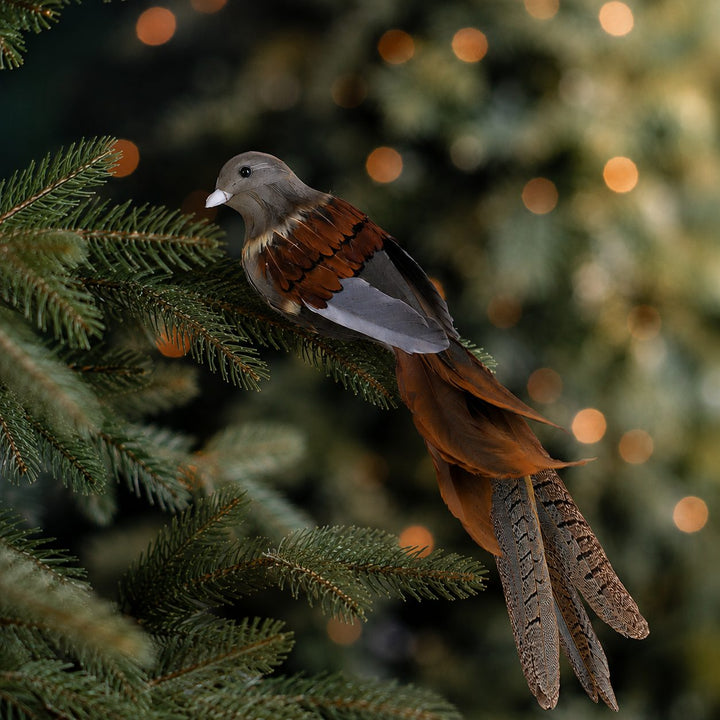 CHATILLON FEATHER CHRISTMAS BIRD CLIP  |  XL 35CM  |  CHESTNUT