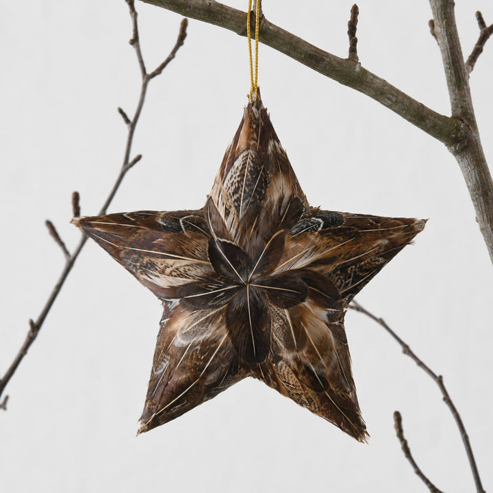 CHATILLON FEATHER CHRISTMAS STAR SETS  |  NATURAL