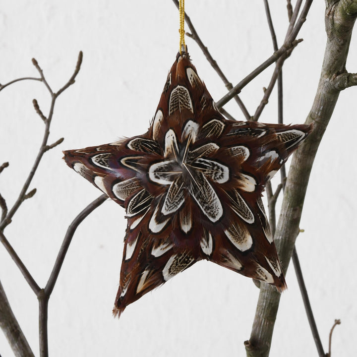 CHATILLON FEATHER CHRISTMAS STAR SETS  |  NATURAL