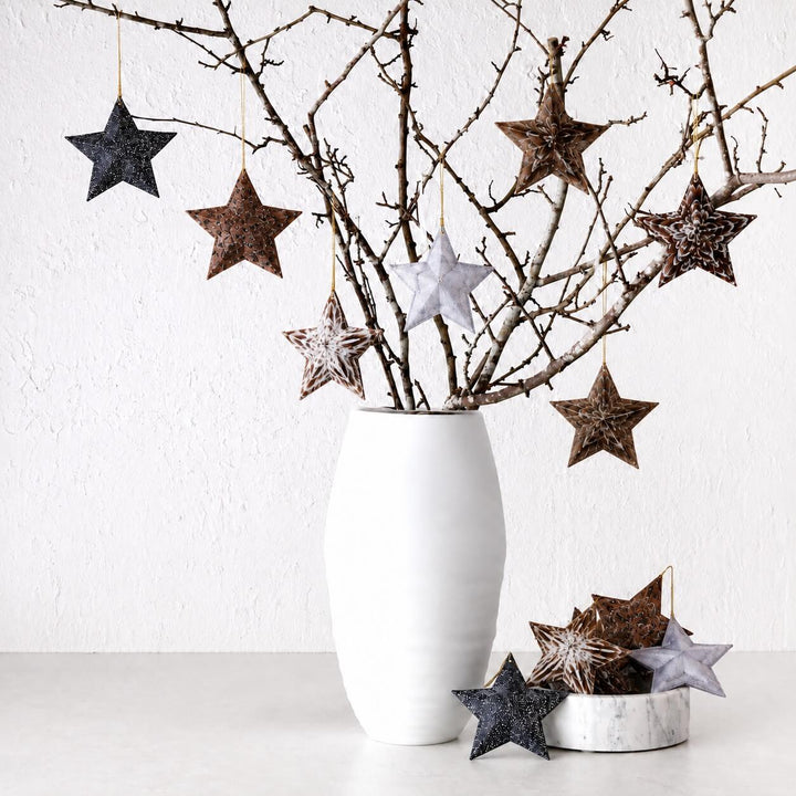 CHATILLON FEATHER CHRISTMAS STAR SETS  |  NATURAL