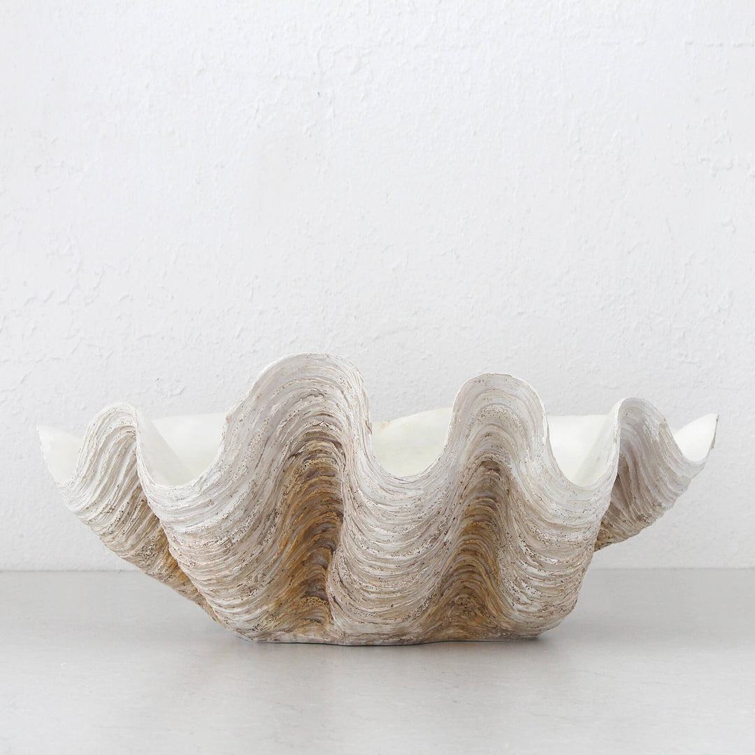 GIANT CLAM SHELL  |  DECORATIVE BOWL   |  NATURAL RESIN