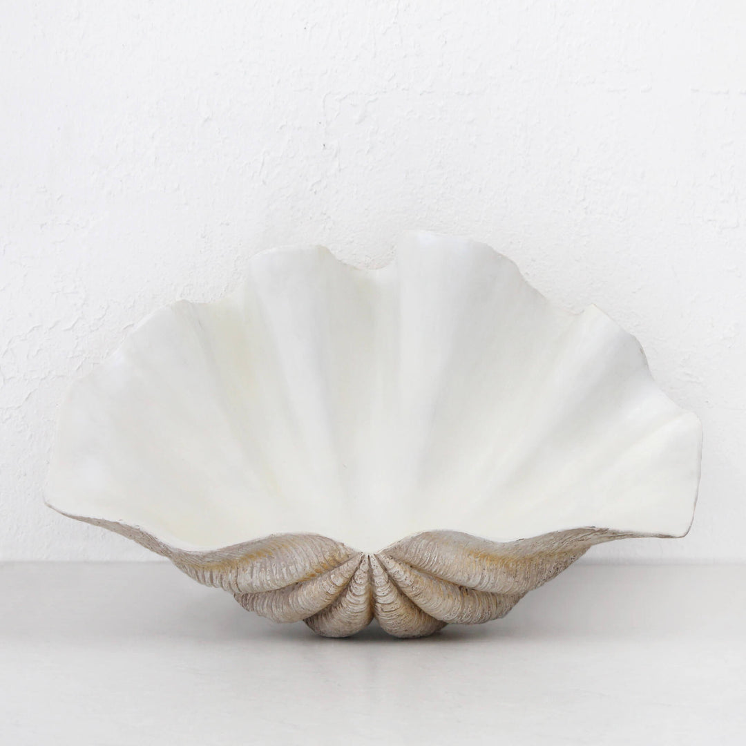 GIANT CLAM SHELL  |  DECORATIVE BOWL   |  NATURAL RESIN