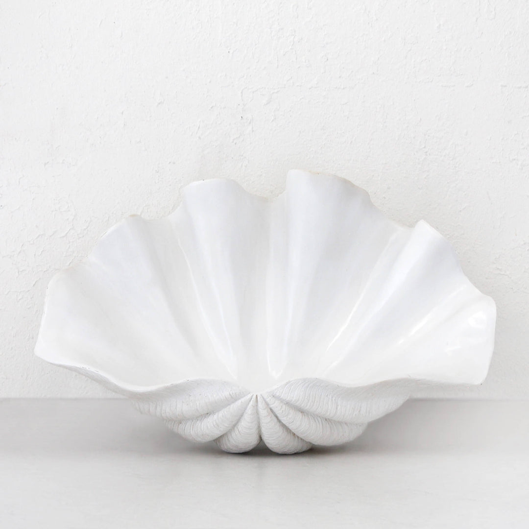 Clam Shell Giant | White