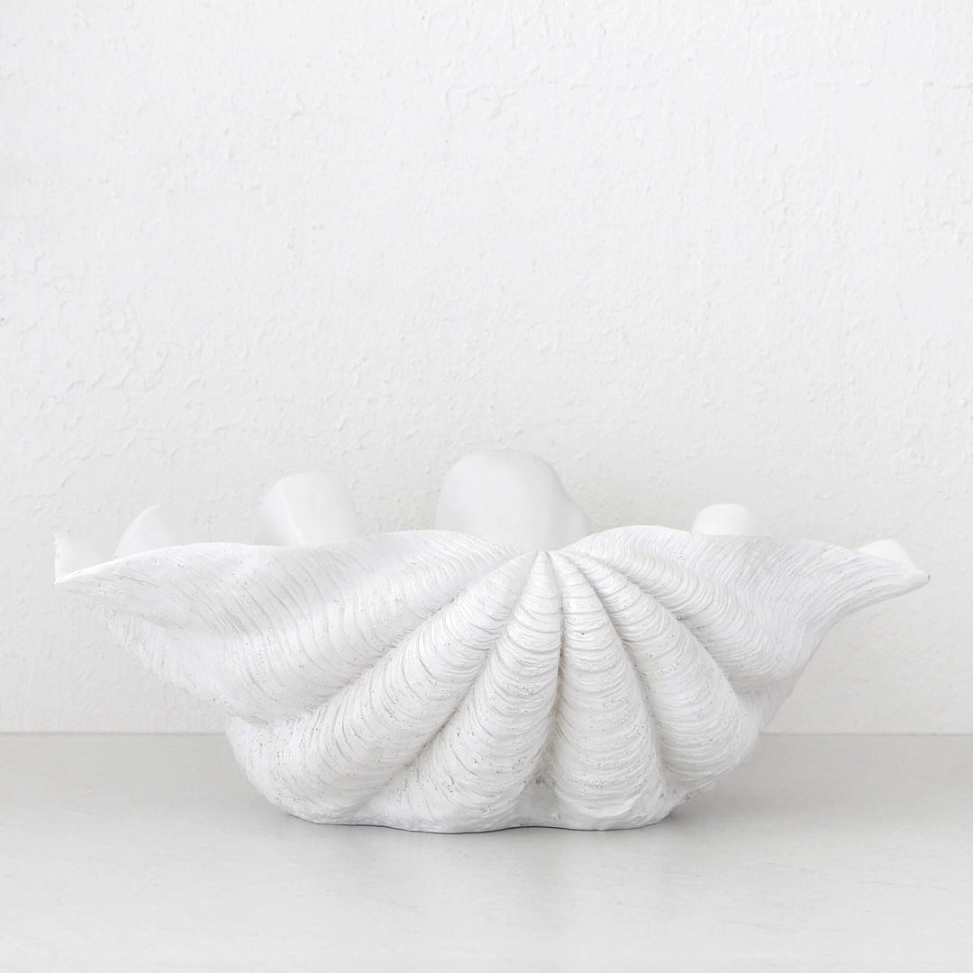 GIANT CLAM SHELL  |  DECORATIVE BOWL   |  WHITE RESIN