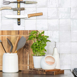 OTTAWA STONEWARE OIL BOTTLE + SALT DISH 2 PIECE SET + SALT PIG DISH  |  CALICO