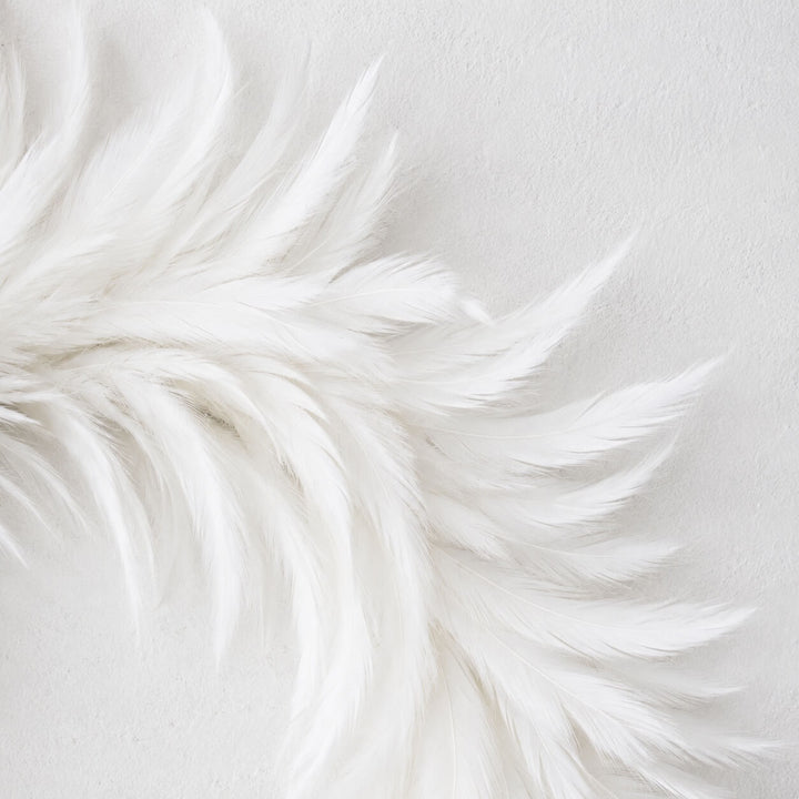 CHATILLON FEATHER WREATHS | WHITE