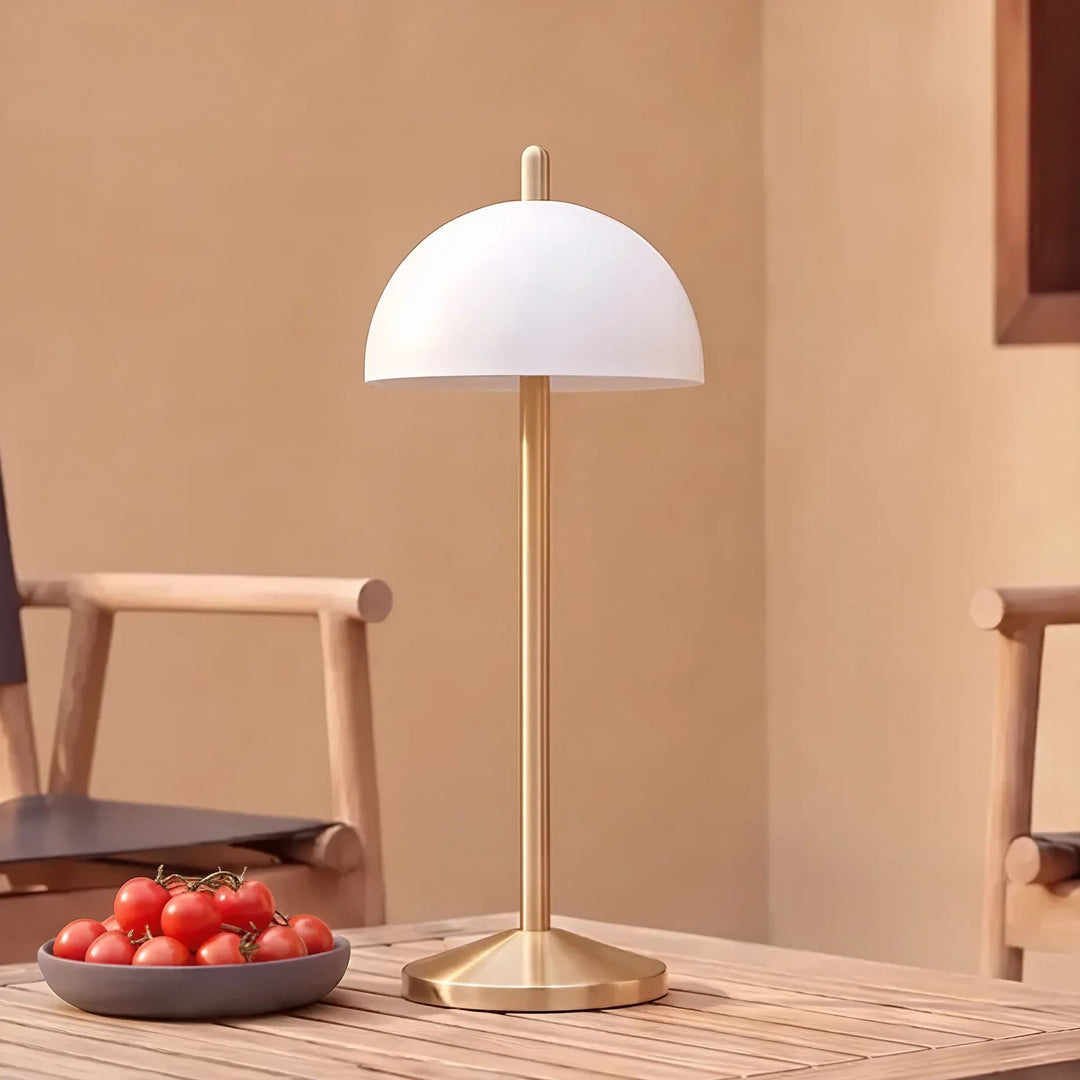 FONTAINES RECHARGEABLE INDOOR/OUTDOOR LED LANTERN  |  ANTIQUE BRASS + WHITE SHADE