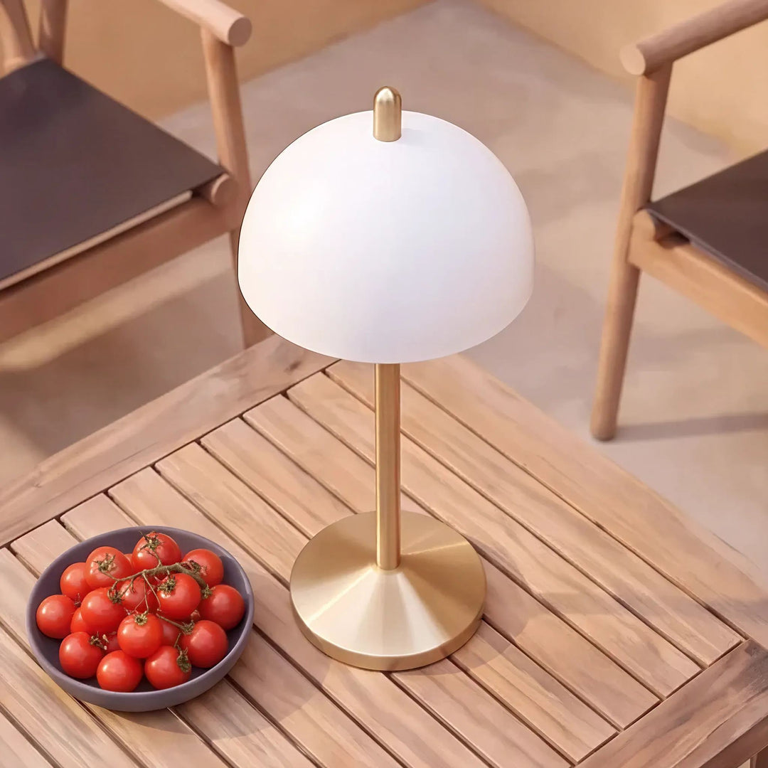 FONTAINES RECHARGEABLE INDOOR/OUTDOOR LED LANTERN  |  ANTIQUE BRASS + WHITE SHADE