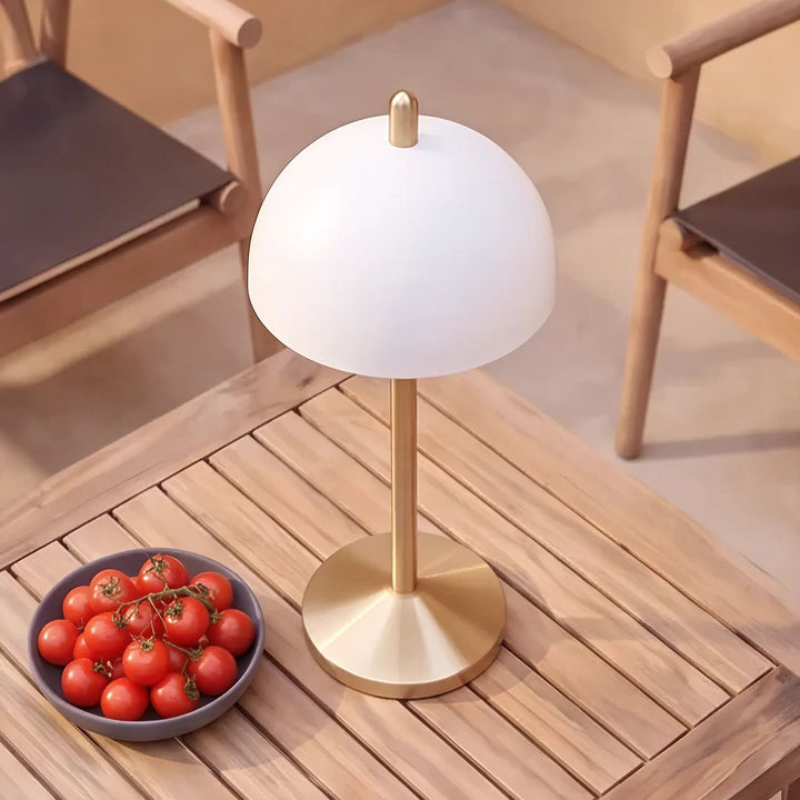 FONTAINES RECHARGEABLE INDOOR/OUTDOOR LED LANTERN  |  ANTIQUE BRASS + WHITE SHADE