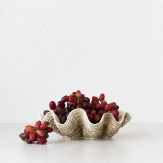 GIANT CLAM SHELL | DECORATIVE BOWL | NATURAL RESIN | MEDIUM