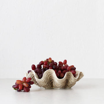 GIANT CLAM SHELL | DECORATIVE BOWL | NATURAL RESIN | MEDIUM