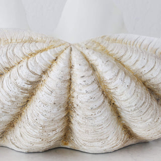 GIANT CLAM SHELL  |  DECORATIVE BOWL   |  NATURAL RESIN  |  EXTRA LARGE