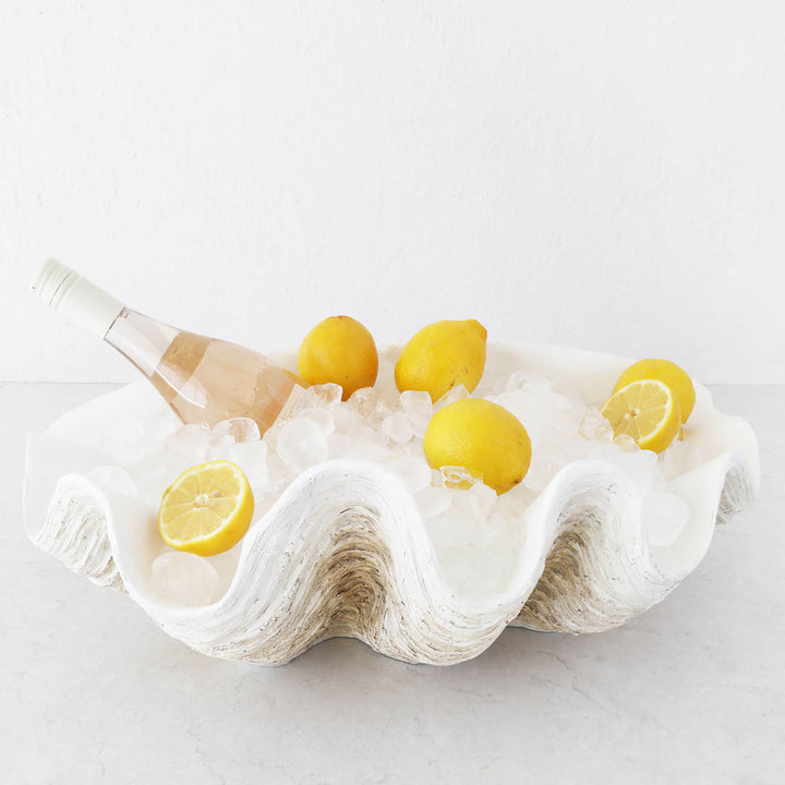 GIANT CLAM SHELL  |  DECORATIVE BOWL   |  NATURAL RESIN  |  EXTRA LARGE