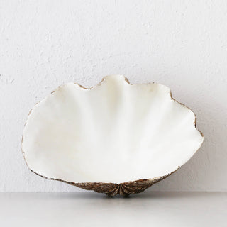GIANT CLAM SHELL  |  DECORATIVE BOWL  |  NATURAL RESIN  |  LARGE