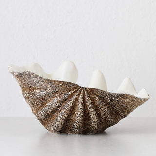 GIANT CLAM SHELL  |  DECORATIVE BOWL  |  NATURAL RESIN  |  LARGE