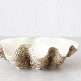 GIANT CLAM SHELL  |  DECORATIVE BOWL  |  NATURAL RESIN  |  SMALL