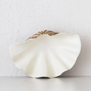 GIANT CLAM SHELL  |  DECORATIVE BOWL  |  NATURAL RESIN  |  SMALL