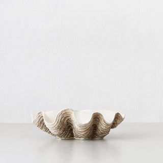 GIANT CLAM SHELL  |  DECORATIVE BOWL  |  NATURAL RESIN  |  SMALL