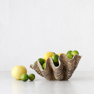 GIANT CLAM SHELL | DECORATIVE BOWL | NATURAL RESIN | LARGE