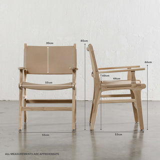 MALAND CONTEMPO SOLID HIDE LEATHER CARVER CHAIR | BLONDE WOOD + TOASTED ALMOND LEATHER HIDE | MEASUREMENTS