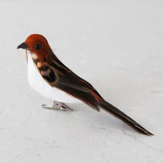 NATURAL BIRD CLIP DECORATION  |  SET OF 12