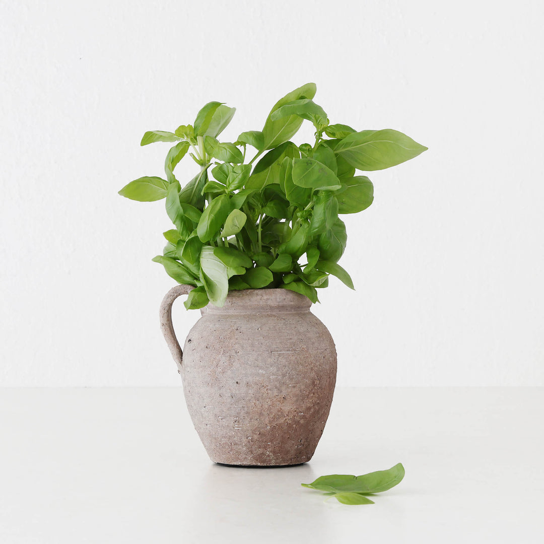 Orsano Terracotta Jug  |  15cm  |  Medium