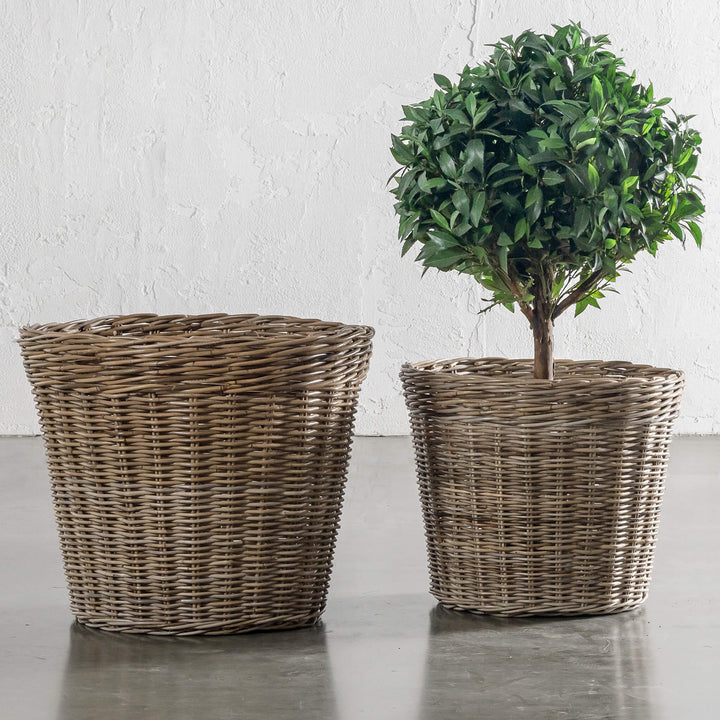 RIVIERE RATTAN PLANTER BASKETS BUNDLE X2  |  LARGE + X LARGE