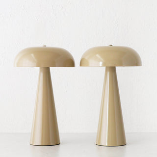 SANTA ANTONIO DOME LED RECHARGEABLE LAMP BUNDLE X2  |  35CM  |  TAUPE