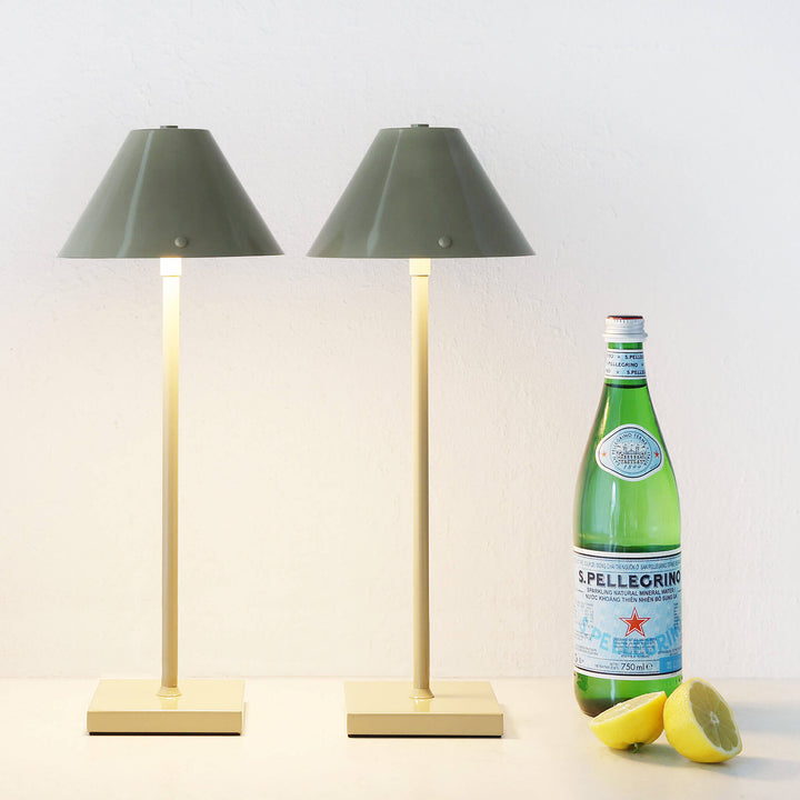 SAO VICENTE LED RECHARGEABLE LAMP BUNDLE X2  |  45CM  |  TAUPE