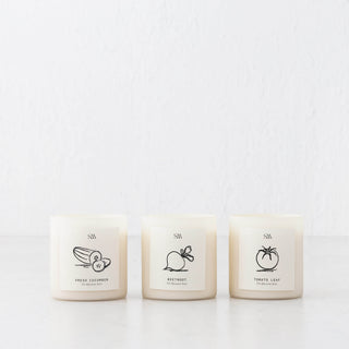 STUDIO MCKENNA  |  EPICUREAN SERIES BOX SET OF 3 CANDLES  |   CUCUMBER + TOMATO LEAF + BEETROOT