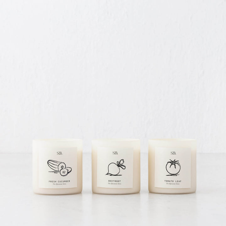 STUDIO MCKENNA  |  EPICUREAN SERIES BOX SET OF 3 CANDLES  |   CUCUMBER + TOMATO LEAF + BEETROOT