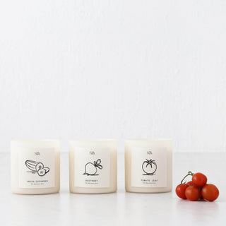 STUDIO MCKENNA  |  EPICUREAN SERIES SET OF 3 CANDLES  |   CUCUMBER + TOMATO LEAF + BEETROOT