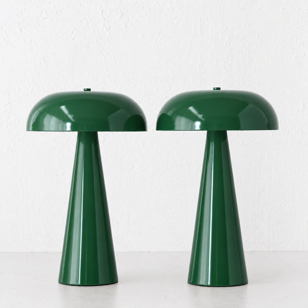 SANTA ANTONIO DOME LED RECHARGEABLE LAMP BUNDLE X2 |  35CM  |  GREEN