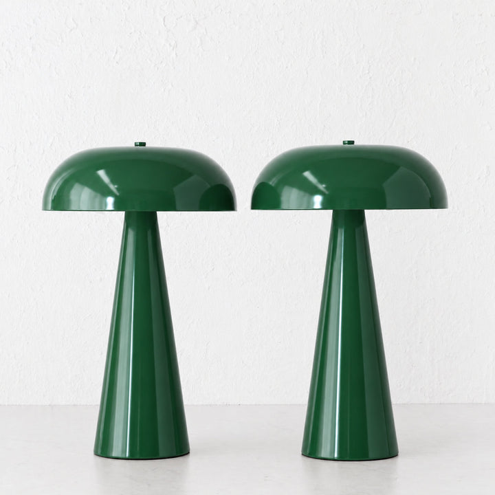 SANTA ANTONIO DOME LED RECHARGEABLE LAMP BUNDLE X2 |  35CM  |  GREEN