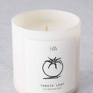 STUDIO MCKENNA  |  EPICUREAN SERIES SCENTED 325G CANDLE  |  TOMATO LEAF