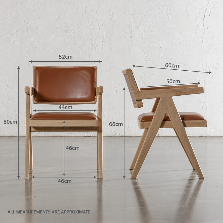 CASONI ARMED PADDED DINING CHAIR  |  SMOKE HAZE WASH TEAK + COCOA TAN LEATHER MEASUREMENTS