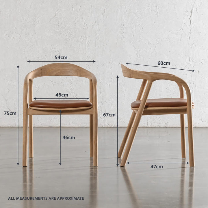 CASONI ROUNDED PADDED DINING CHAIR  |  SMOKE HAZE WASH TEAK + COCOA TAN LEATHER MEASUREMENTS